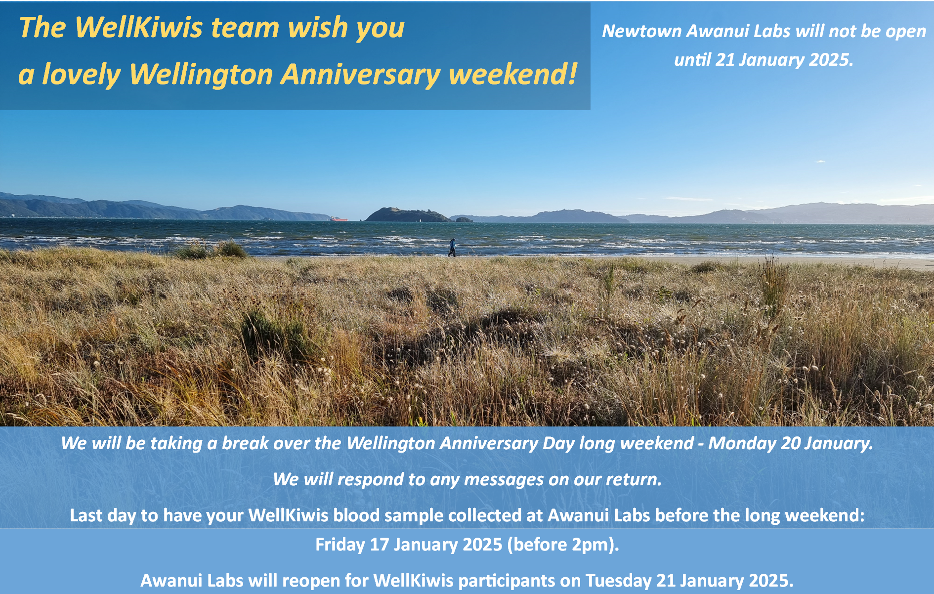 Wellington Anniversary weekend banner 2 v3